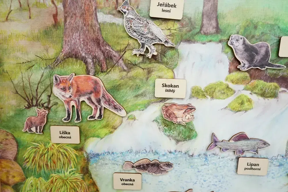 Stolní biotop s magnety - Tmavý les