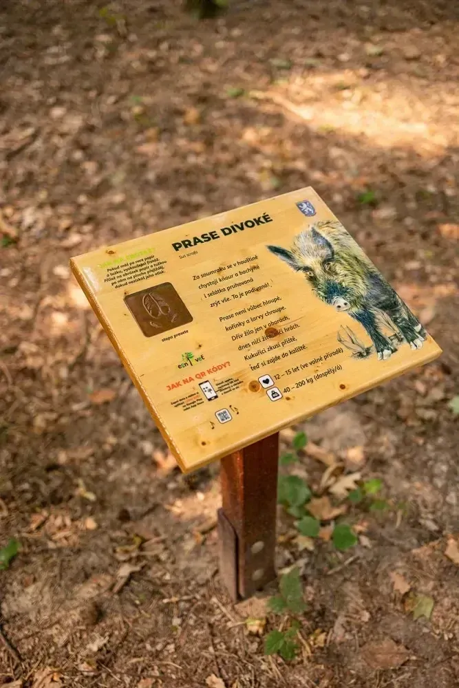 Frotážový pult (M)