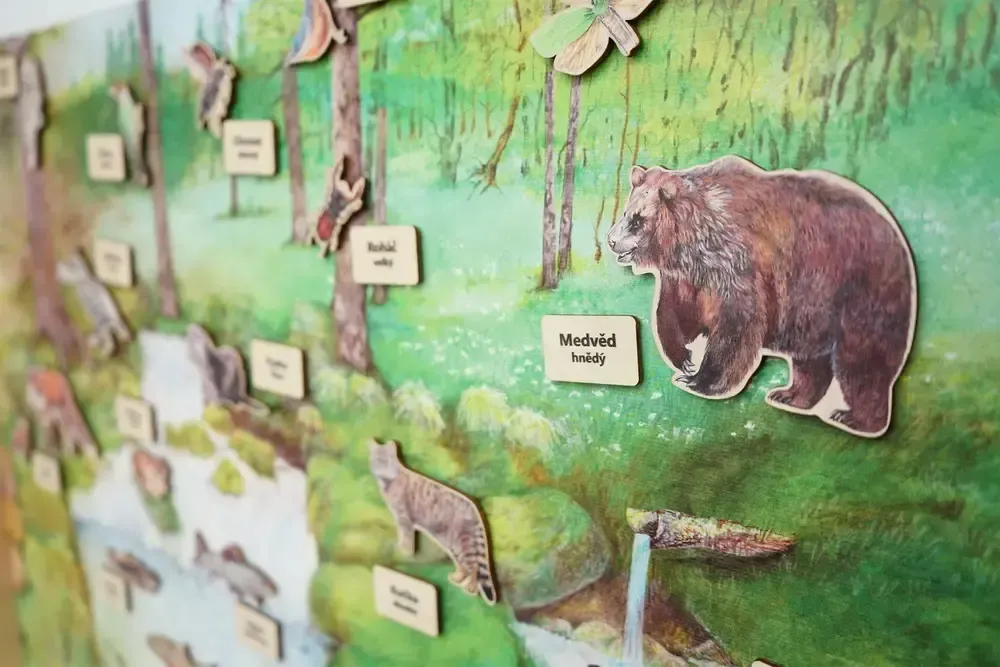 Stolní biotop s magnety - Tmavý les