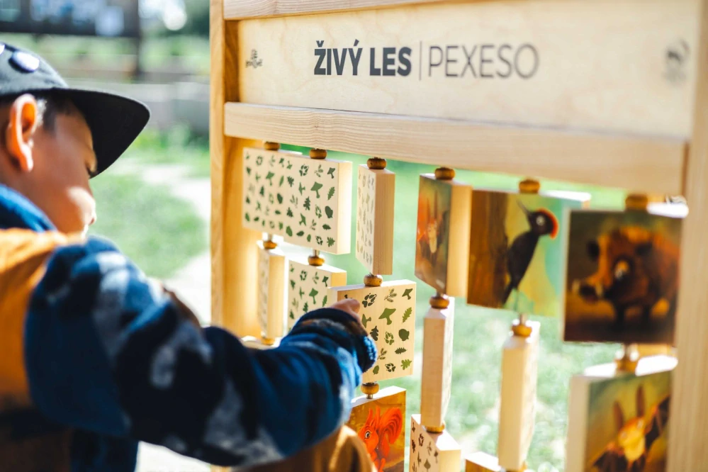 Pexeso - Stolní - Živý les