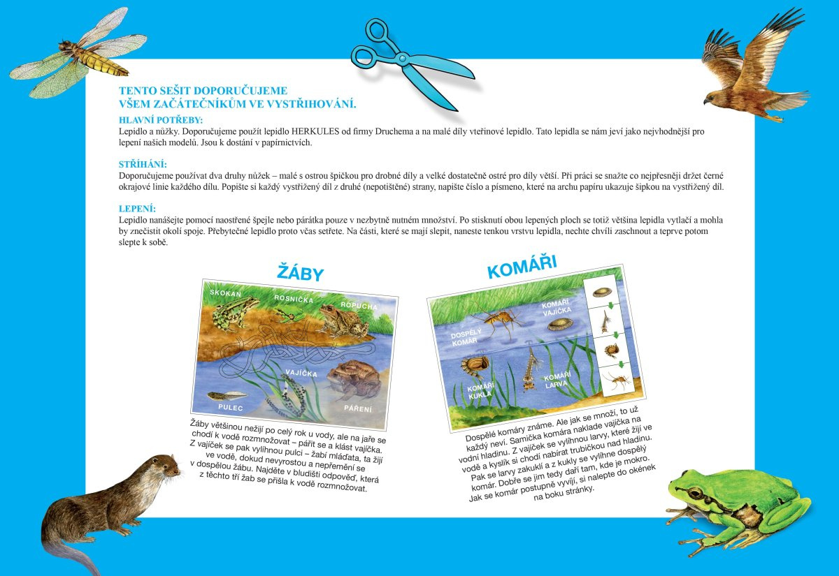 Začínáme vystřihovat - U Vody