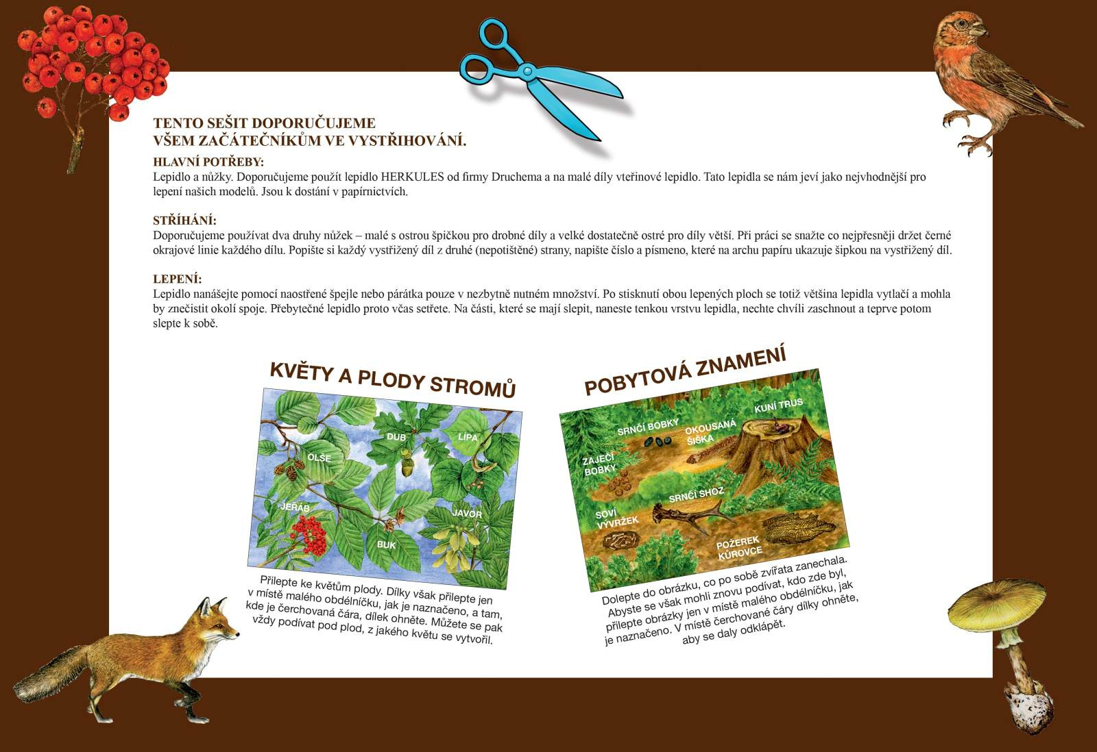 Začínáme vystřihovat - V lese