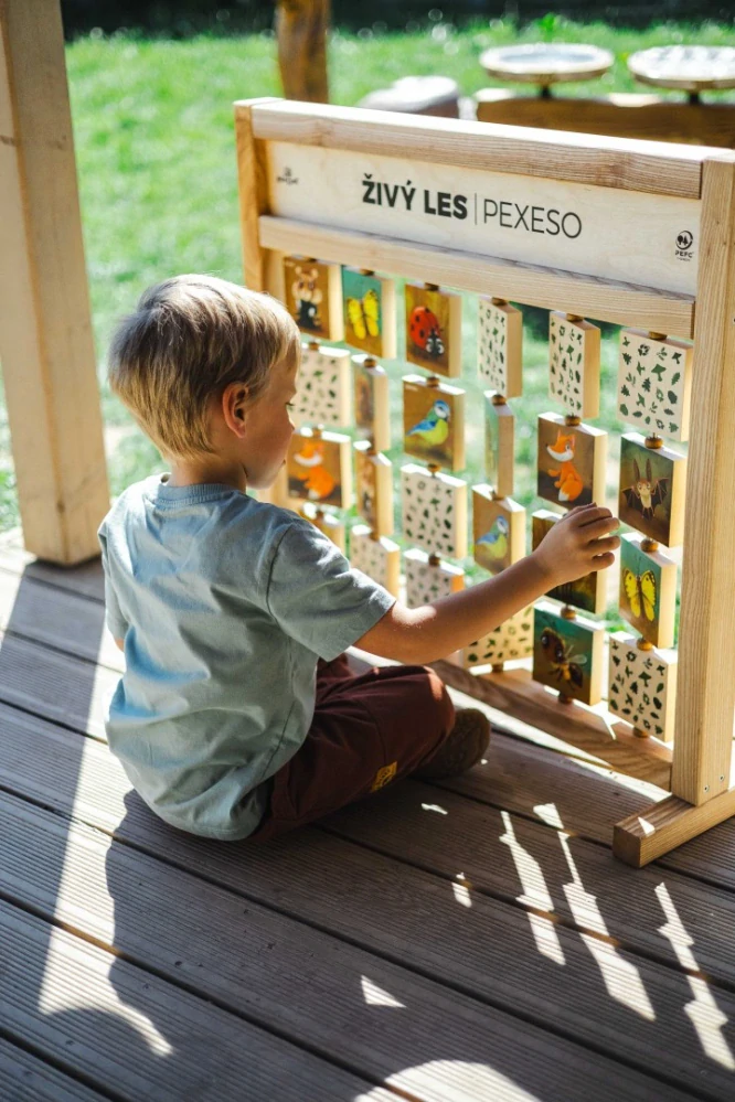 Pexeso - Stolní - Živý les