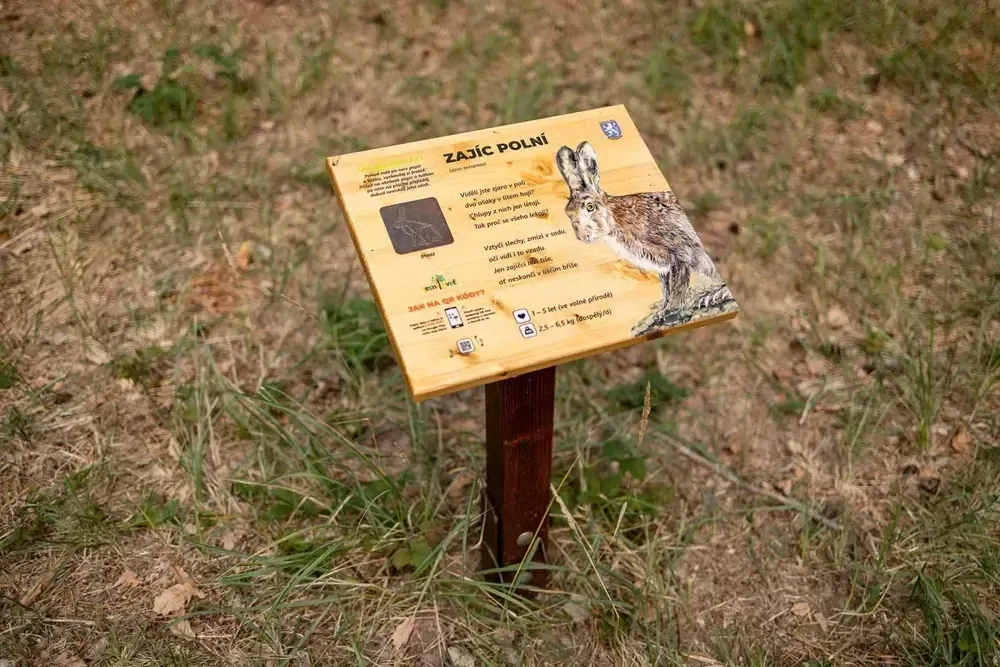 Frotážový pult (M)