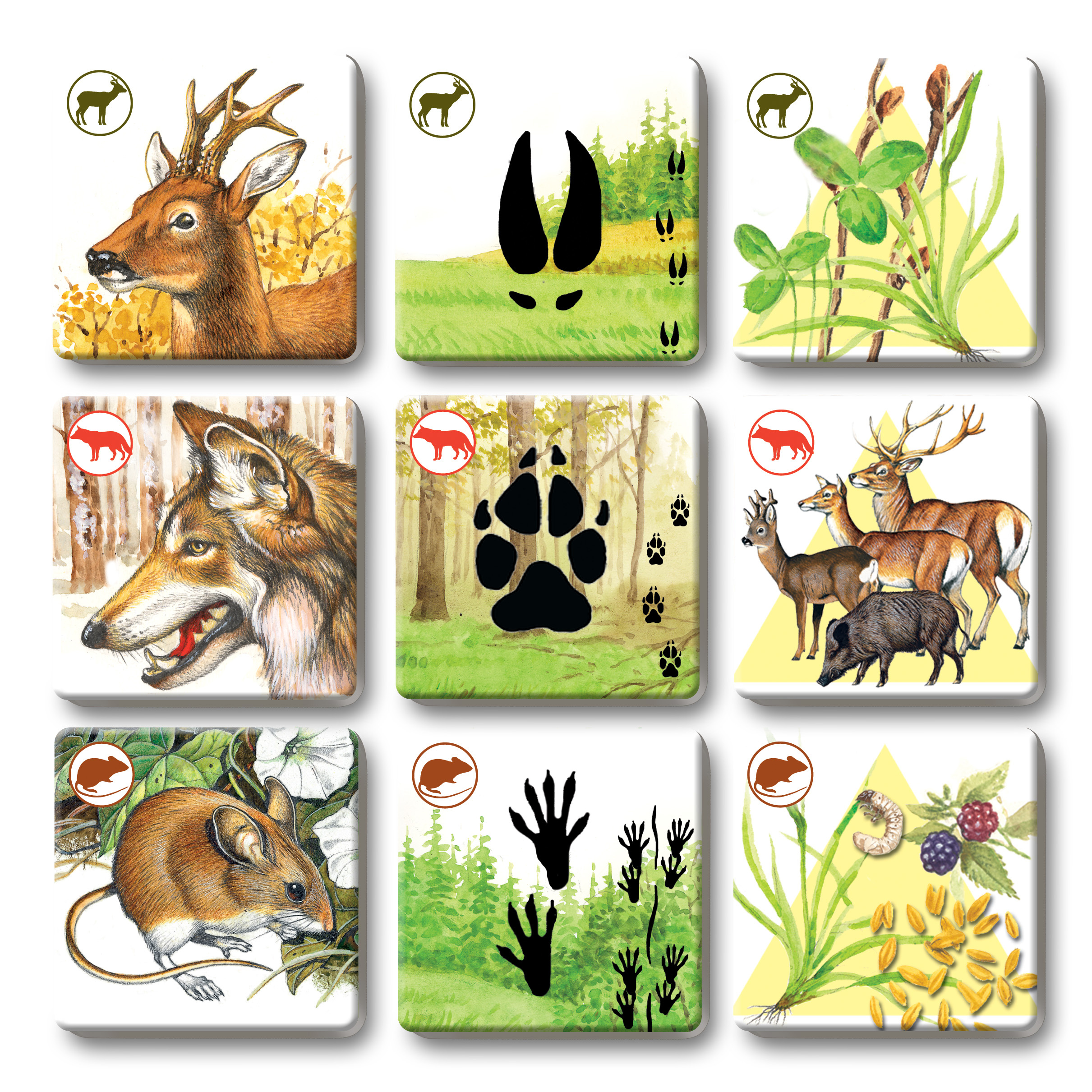 Betexa Pexetrio Plus Savci