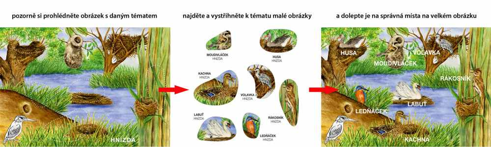 Začínáme vystřihovat - U Vody