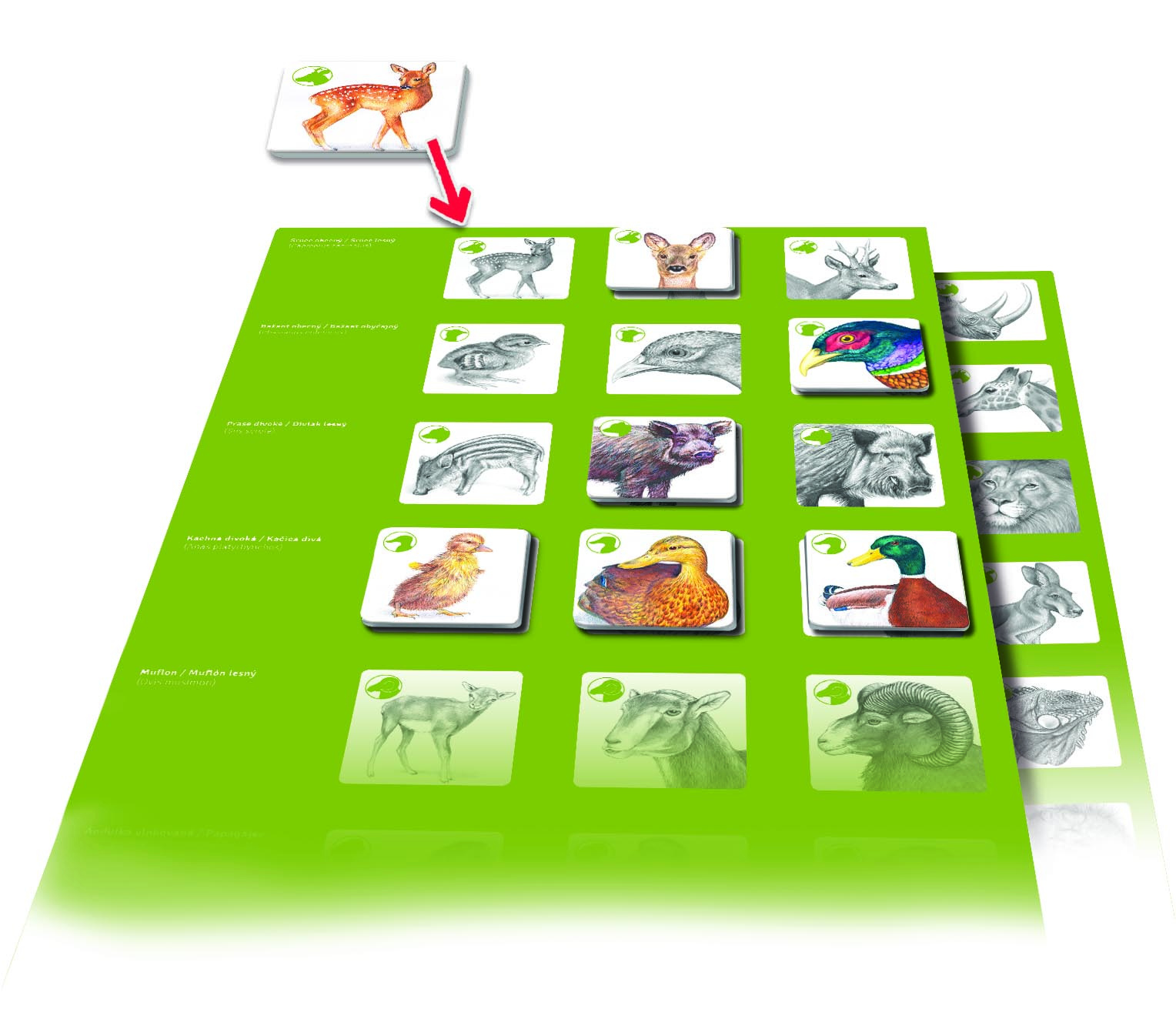 Betexa Pexetrio Zvířecí rodinky