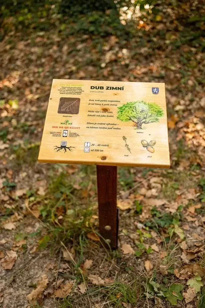 Frotážový pult (M)