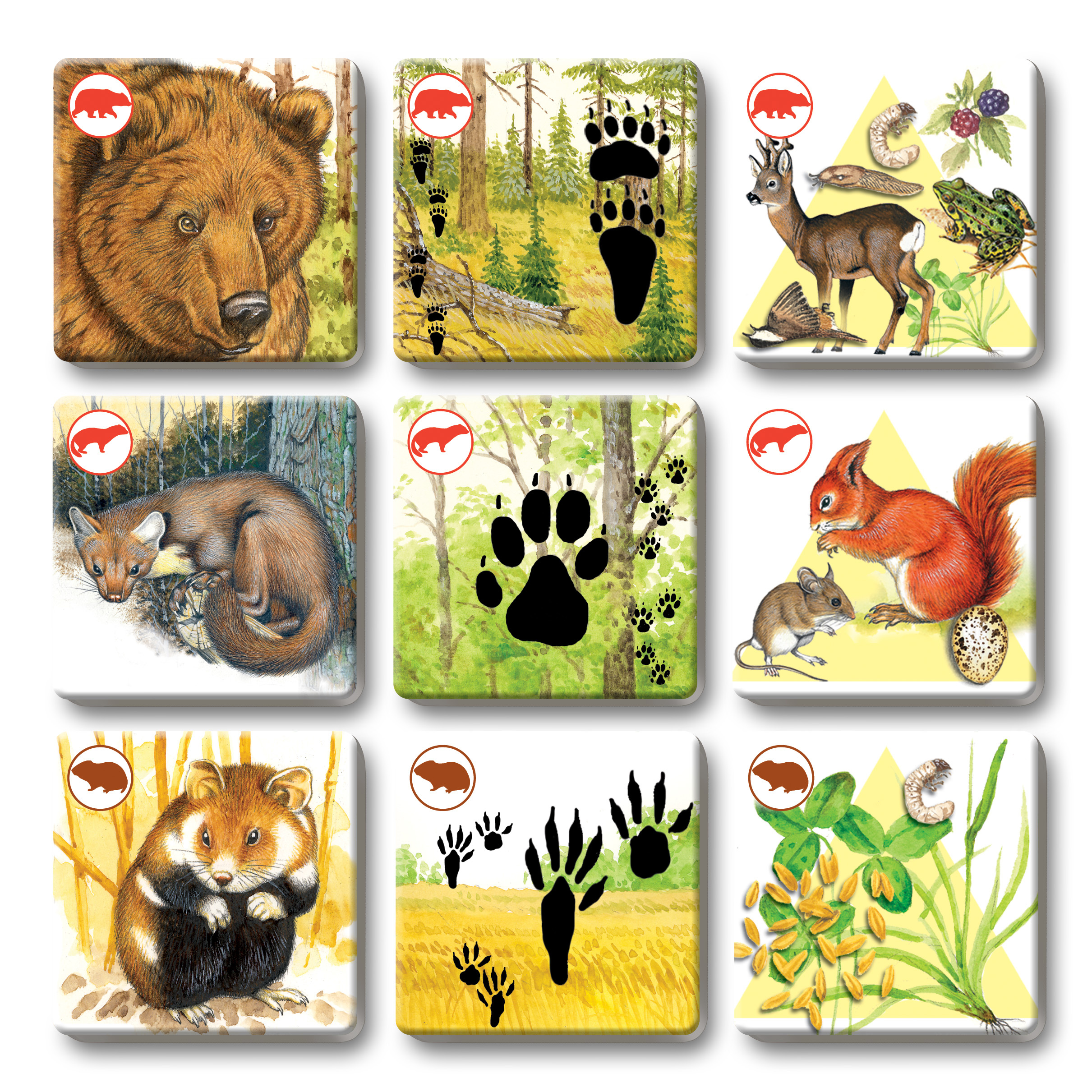 Betexa Pexetrio Plus Savci