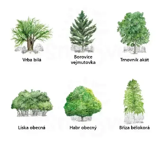 Poznej Stromy