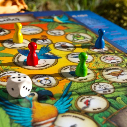 4 zvířátkové hry - Lucie Ernestová