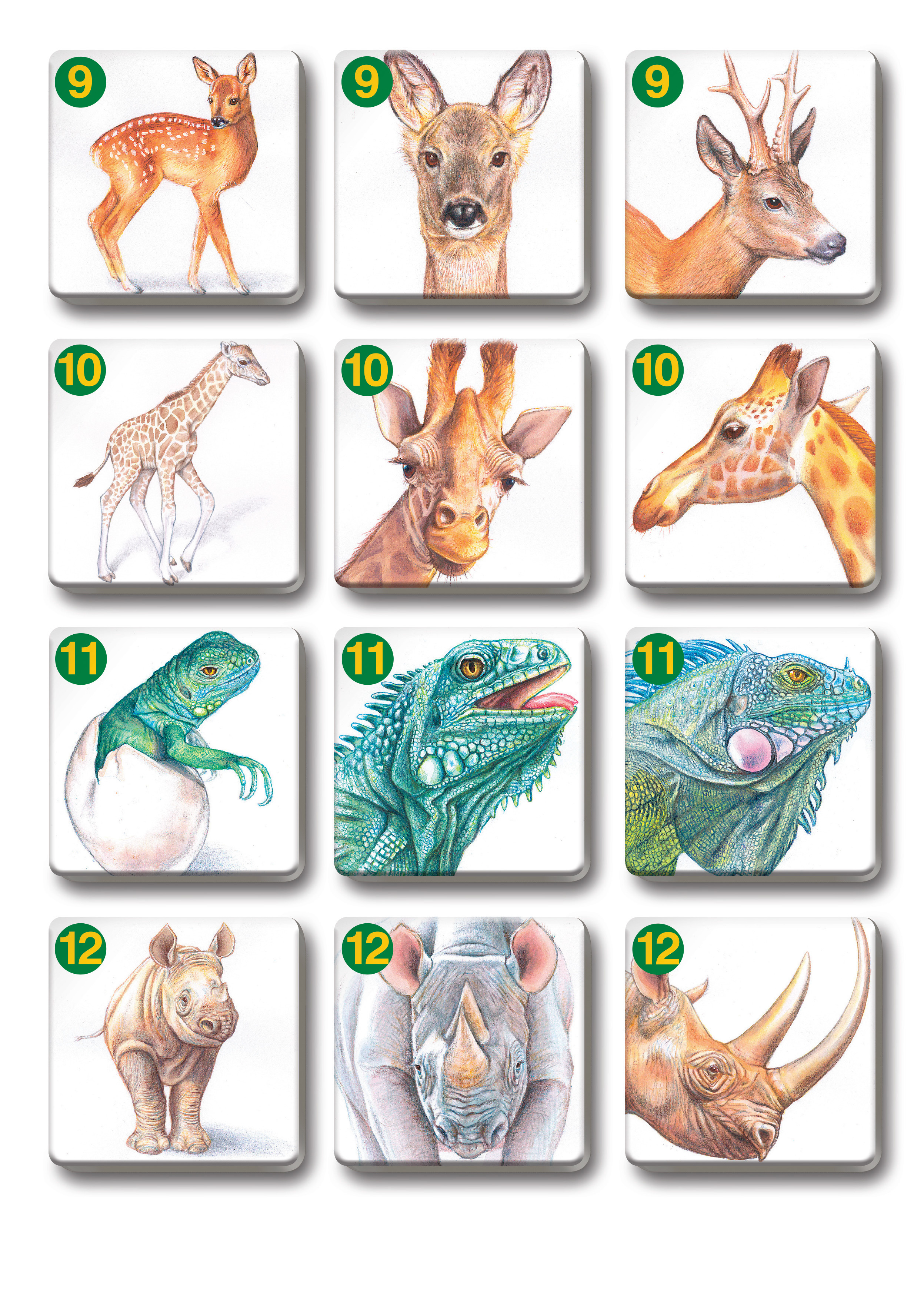 Betexa Pexetrio Zvířecí rodinky