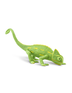 Mládě chameleóna jemenského