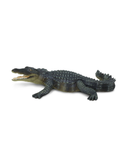 Krokodýl