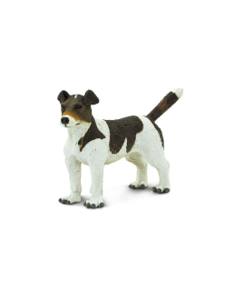 Jack Russel teriér