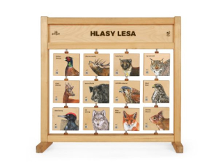 Hlasy lesa - stolní