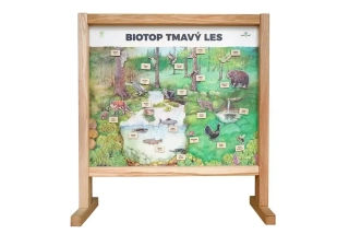Stolní biotop s magnety - Tmavý les