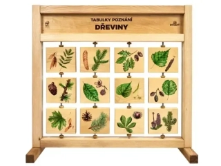 Tabulky poznání stolní - Naše dřeviny