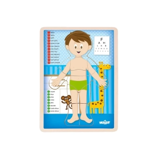 Puzzle Lidské tělo - Kluk